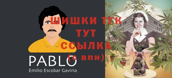 крисы Володарск