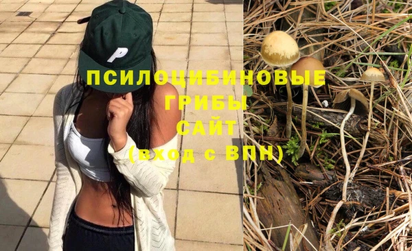 крисы Володарск