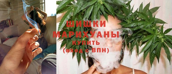 индика Богородск