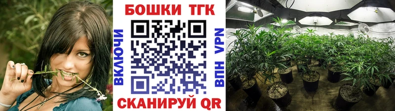 Шишки марихуана THC 21%  Жиздра 